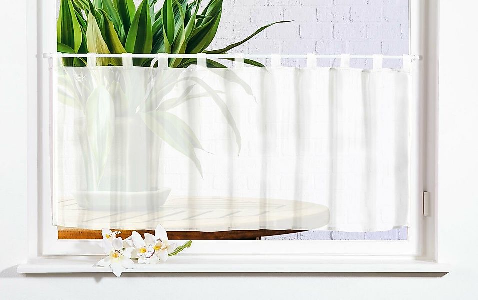 Gardinenbox Scheibengardine, Schlaufen (1 St), transparent, günstig online kaufen