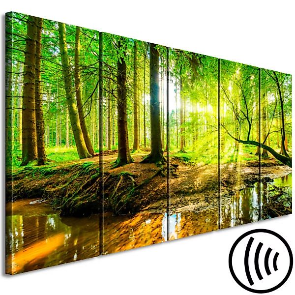 Bild auf Leinwand Forest Stream (5 Parts) Narrow XXL günstig online kaufen