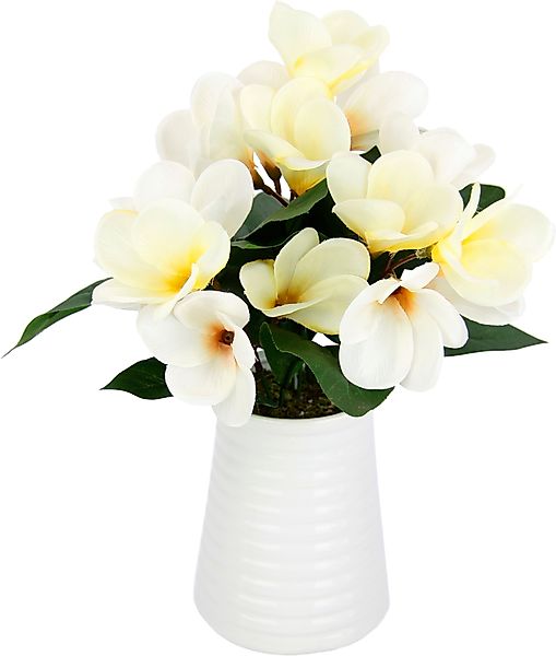 Kunstblume Frangipani in Vase aus Keramik, günstig online kaufen