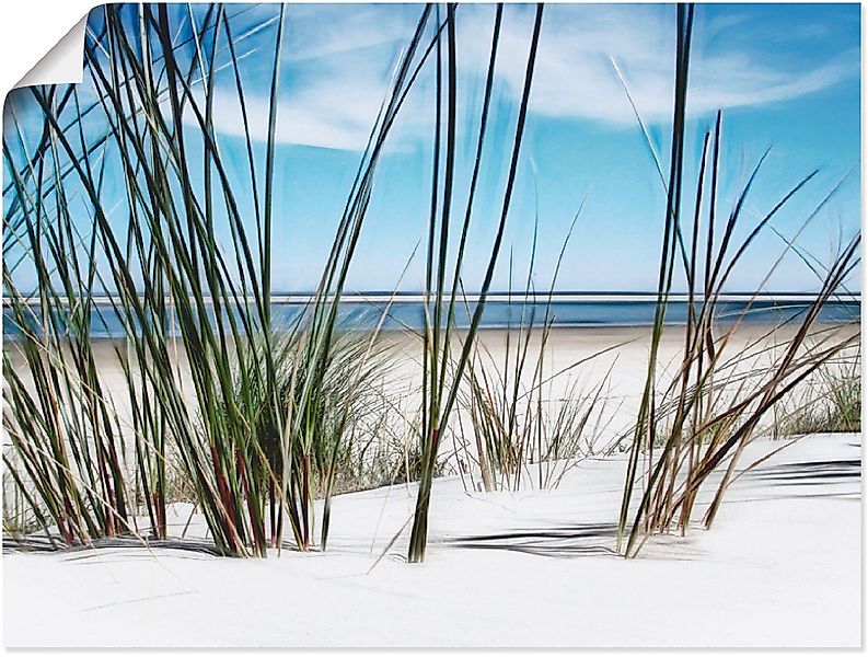 Artland Wandbild Düne, Strand (1 St), günstig online kaufen