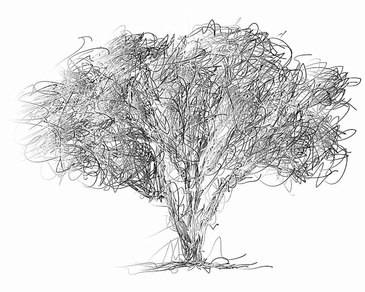 Fototapete "Baumzeichnung" 4,00x2,50 m / Glattvlies Perlmutt günstig online kaufen
