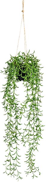 Creativ green Kunstranke "Nerifolia-Hänger" günstig online kaufen