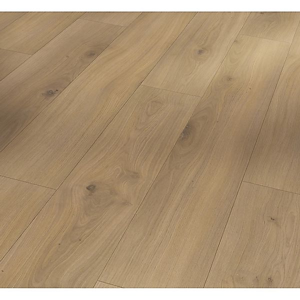 Parador Basic 400 Laminat 8 mm Wasserfest Eiche Horizont Natur günstig online kaufen