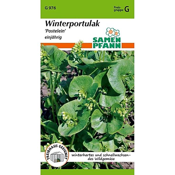 SAMEN PFANN Winterportulak günstig online kaufen