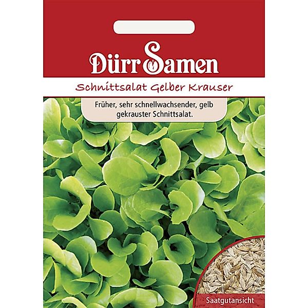 Dürr Samen Schnittsalat Gelber Krauser Saatgut günstig online kaufen