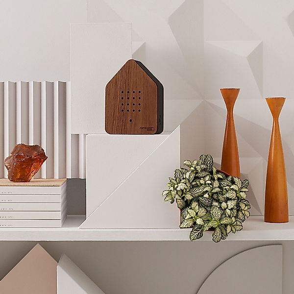 Relaxound GmbH Wanddekoobjekt Zwitscherbox Natur Walnuss günstig online kaufen