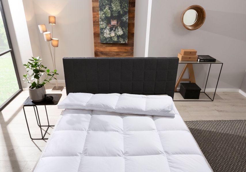 Otto Keller Daunenbettdecke "STARLIGHT für jede Saison die richtige Bettdec günstig online kaufen