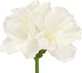 I.GE.A. Kunstblume "Amaryllis 2er Set" 60cm Blumen Zweig Dekozweig Weihnach günstig online kaufen