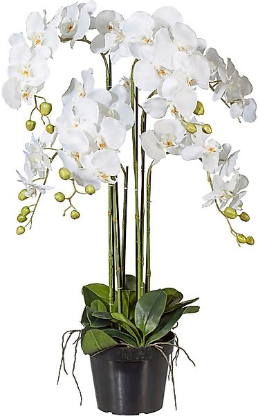 Kunstpflanze Orchidee, Creativ green, Höhe 90 günstig online kaufen