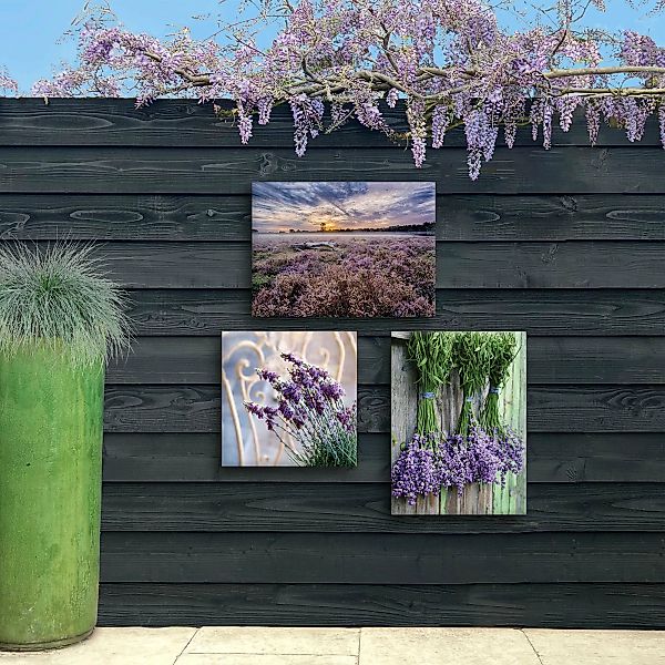 Art for the home Leinwandbild "Outdoor Lavendel 50x70cm", (1 St.) günstig online kaufen