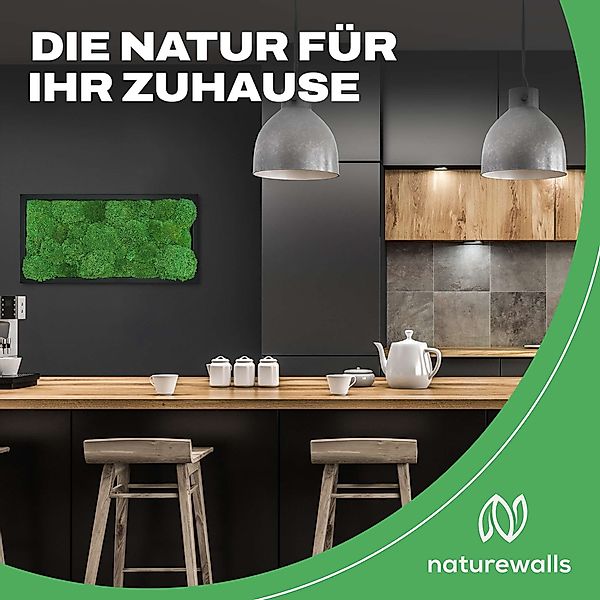 naturewalls Bild Moosbild Kugelmoos - Pflanzenbild günstig online kaufen