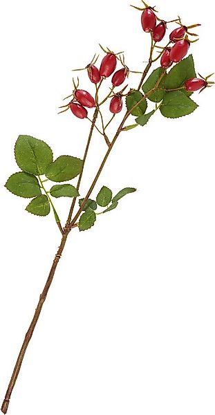 Kunstzweig Hagebuttenzweig, DPI, 41cm günstig online kaufen
