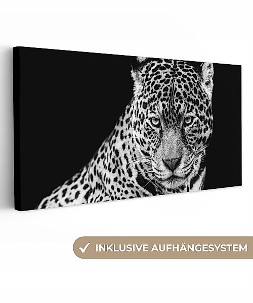 OneMillionCanvasses® Leinwandbild Panorama Leopard - Tiere günstig online kaufen