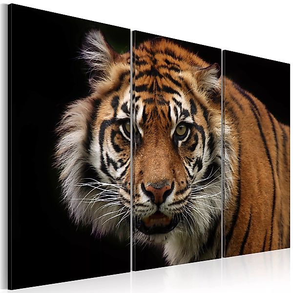 Wandbild - Wilder Tiger günstig online kaufen