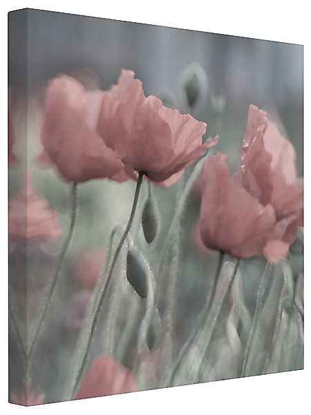 Bilderdepot24 Leinwandbild Blume Natur Modern Malerei günstig online kaufen