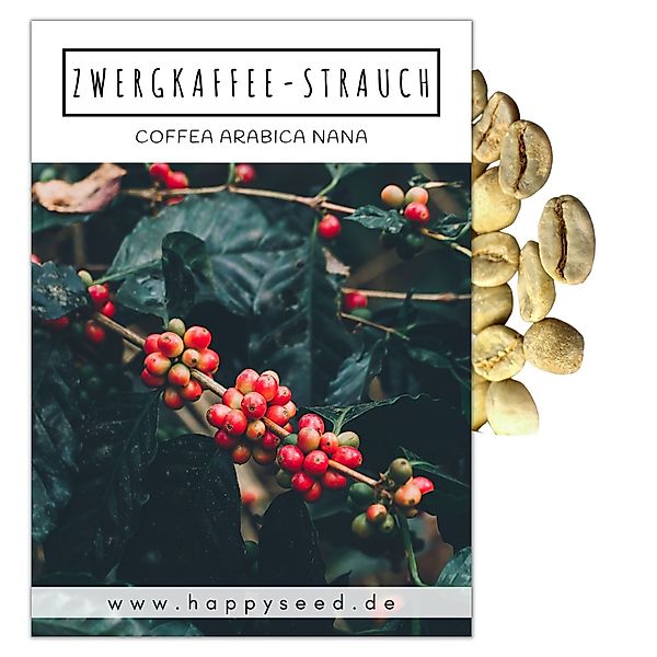 HappySeed Blumensamen Kaffee Samen - Coffea günstig online kaufen