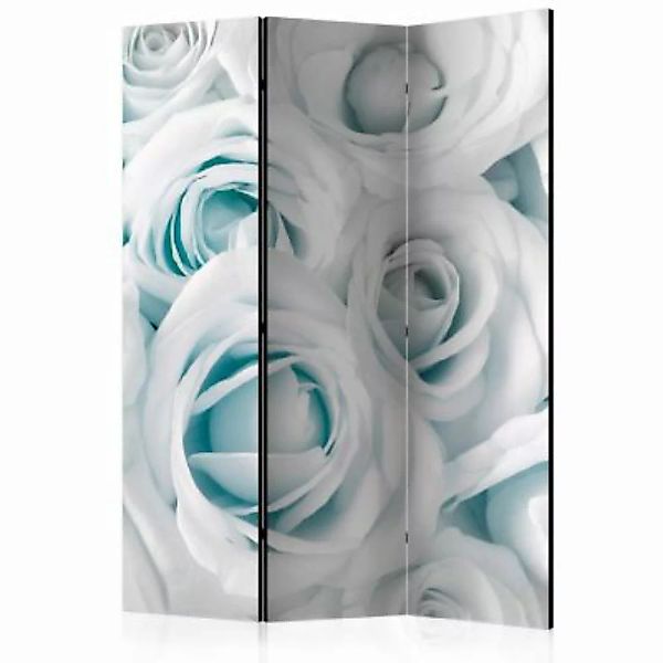 artgeist Paravent Satin Rose (Turquoise) [Room Dividers] mehrfarbig Gr. 135 günstig online kaufen