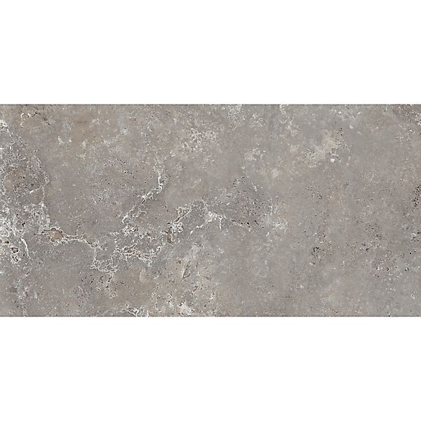 Bodenfliese Feinsteinzeug Grau 60 cm x 120 cm günstig online kaufen