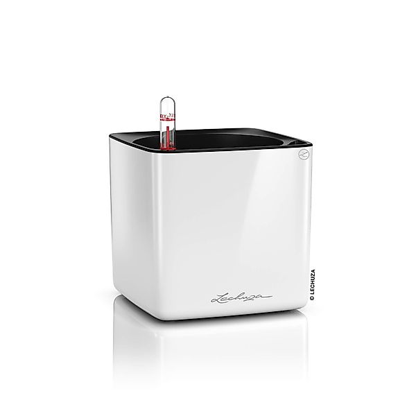 Lechuza® Kräutertopf Pflanztopf Cube Glossy 14 günstig online kaufen