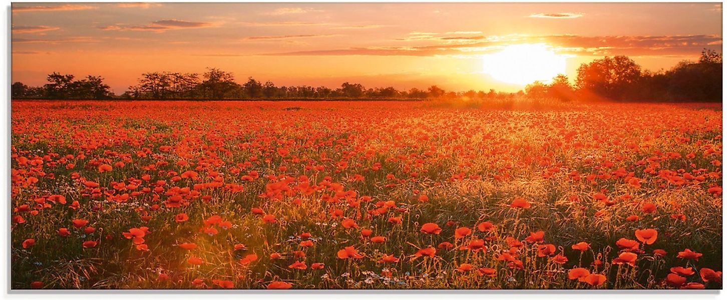 Artland Glasbild "Mohnblumenfeld bei Sonnenuntergang" Blumen 1 Stk. tlg. in günstig online kaufen