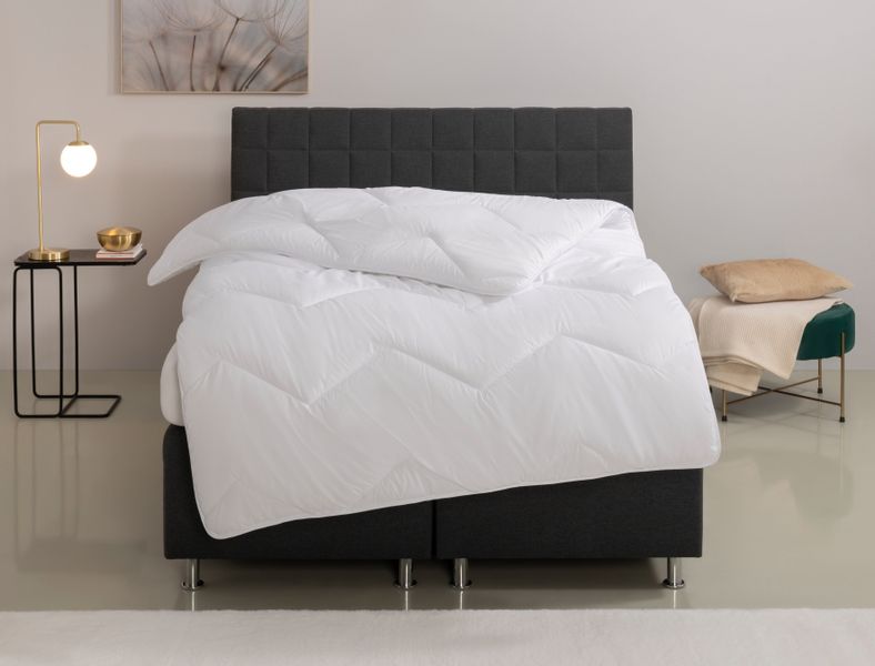 Home affaire Microfaserbettdecke Sartes, Bettdecke 135x200 günstig online kaufen