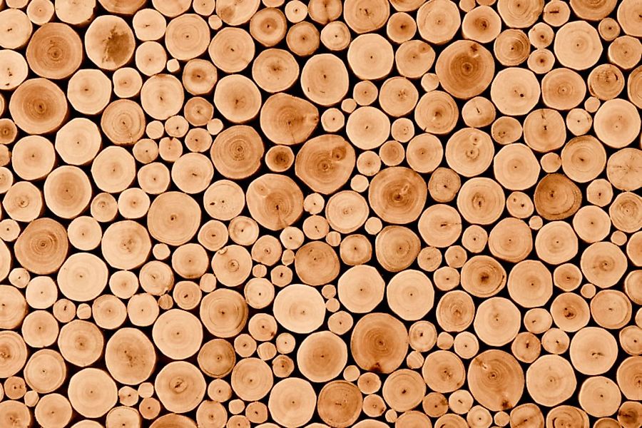 Papermoon Fototapete »Round Teak Wood« günstig online kaufen