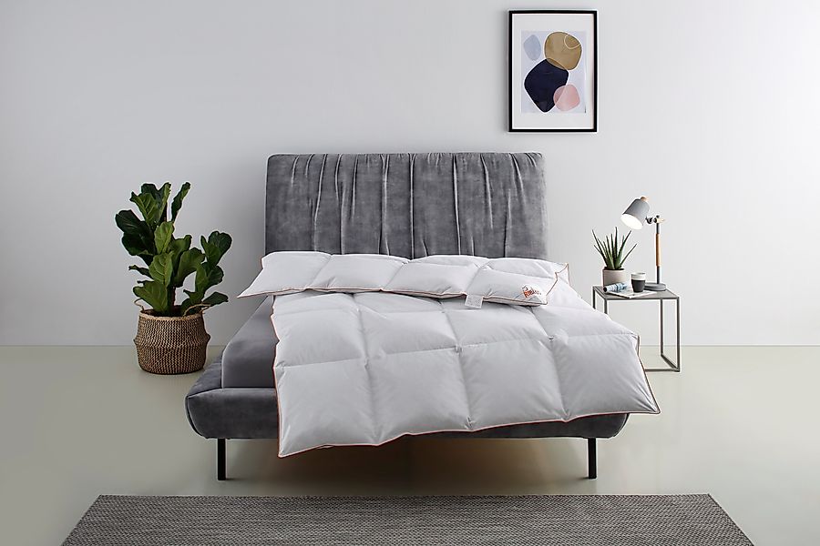 RIBECO Daunenbettdecke "Richard, Bettdecken für Sommer oder Winter, Made in günstig online kaufen