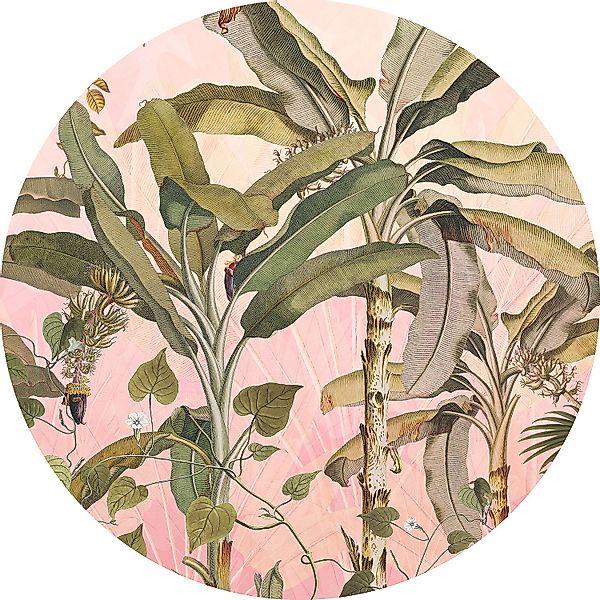Sanders & Sanders Selbstklebende Runde Tapete Botanisch Rosa und Grün Ø 125 günstig online kaufen