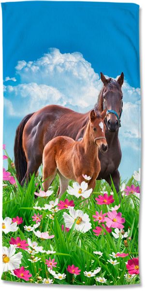 good morning Strandtuch "Dora" Mikrofaser, 75x150, Schnelltrocknend, Strand günstig online kaufen