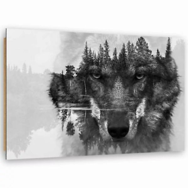 FEEBY® Kunst grauer Wolf Leinwandbilder bunt Gr. 90 x 60 günstig online kaufen