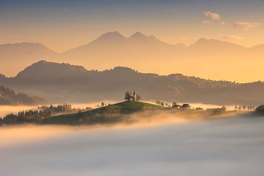 Papermoon Fototapete "Neblige Landschaft" günstig online kaufen