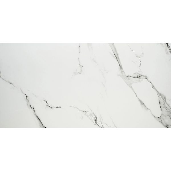 Bodenfliese Feinsteinzeug Weiß 60 cm x 120 cm günstig online kaufen