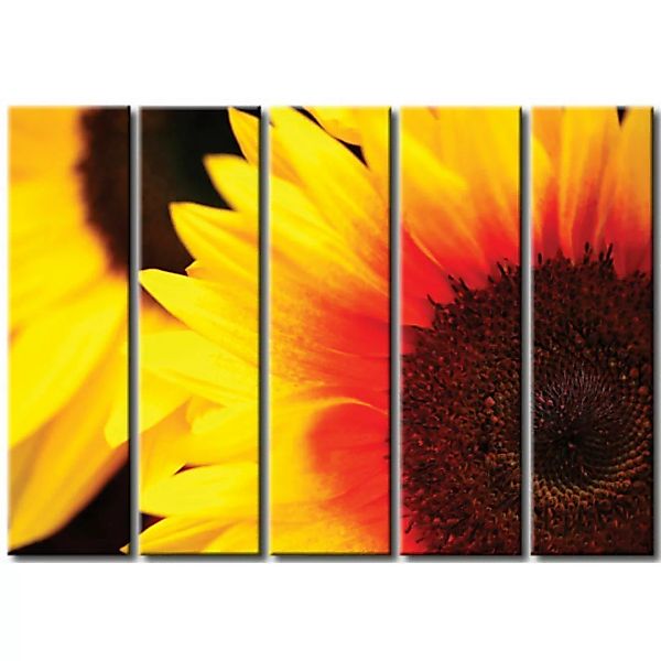 Leinwandbild Fröhliche Sonnenblumen  XXL günstig online kaufen