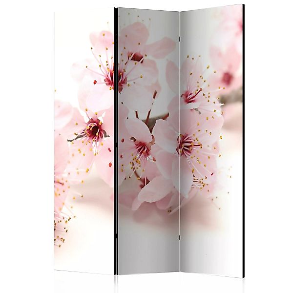 3-teiliges Paravent - Cherry Blossom [room Dividers] günstig online kaufen