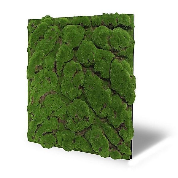 JANGAL Wandpaneel Wandpaneel Jangal Modular Wall günstig online kaufen