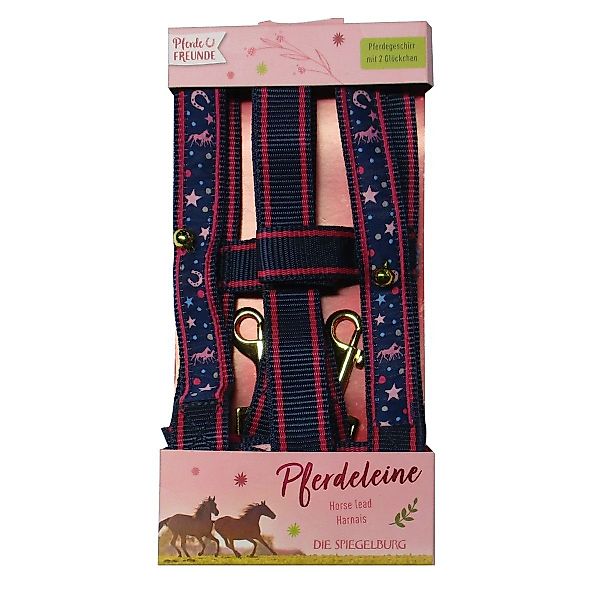 COPPENRATH DIE SPIEGELBURG Spielwerkzeug Coppenrath 13813 günstig online kaufen