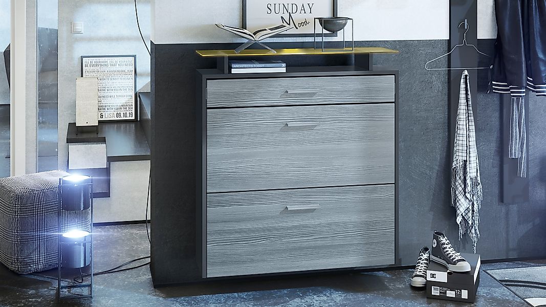 Vladon Schuhschrank Malea (hängender Schuhkipper für günstig online kaufen