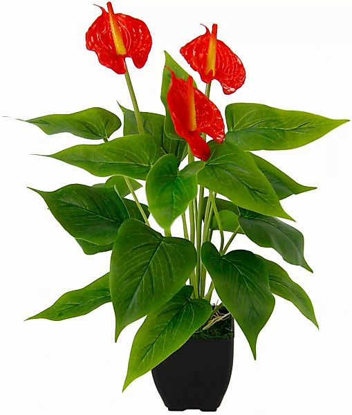 I.GE.A. Kunstblume "Anthuriumpflanze", Anthurien Pflanze im Topf Anthurieex günstig online kaufen