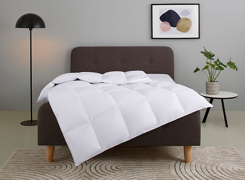 Home affaire Daunenbettdecke "Litrone, Bettdecke 135x200 cm, 155x220 cm, 20 günstig online kaufen