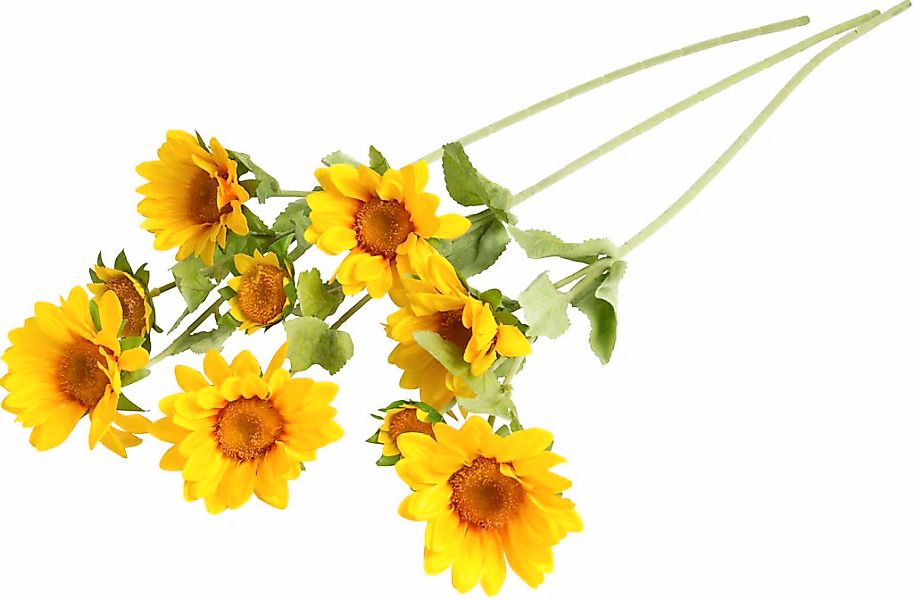 Botanic-Haus Kunstblume "Sonnenblume mit 2 Stielen" günstig online kaufen