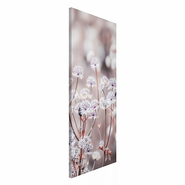 Magnettafel Federleichte Wildblumen günstig online kaufen