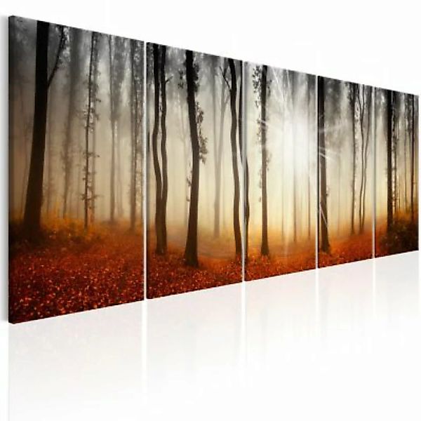 artgeist Wandbild Morning Fog mehrfarbig Gr. 200 x 80 günstig online kaufen