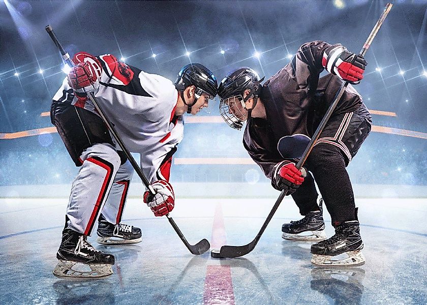 Wohndecke Kuscheldecke Eishockey Hockey Microfaser Flauschdecke günstig online kaufen