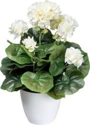 Kunstblume Geranienbusch Mohn, Creativ green, Höhe günstig online kaufen