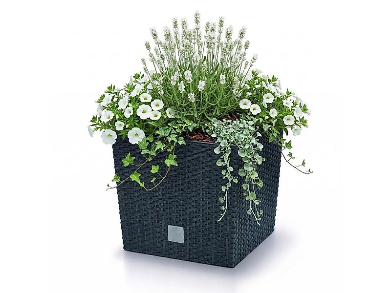 Prosperplast Blumentopf Rato Low (40,8 cm, inkl. Einsatz), ideal für den In günstig online kaufen