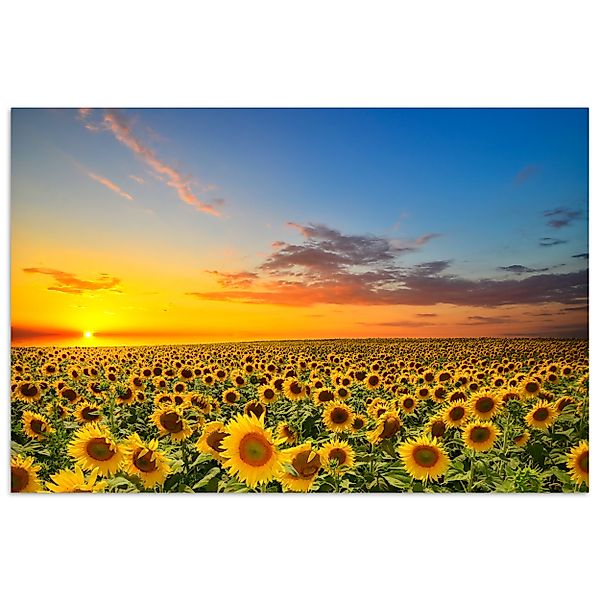 MuchoWow Poster Blumen - Sonnenblume - günstig online kaufen