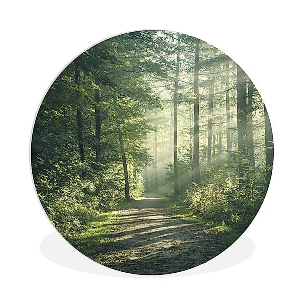 MuchoWow Gemälde Wald - Weg - günstig online kaufen