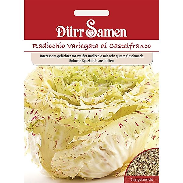 Dürr Samen Radicchio Variegata Di Castelfranco Saatgut günstig online kaufen