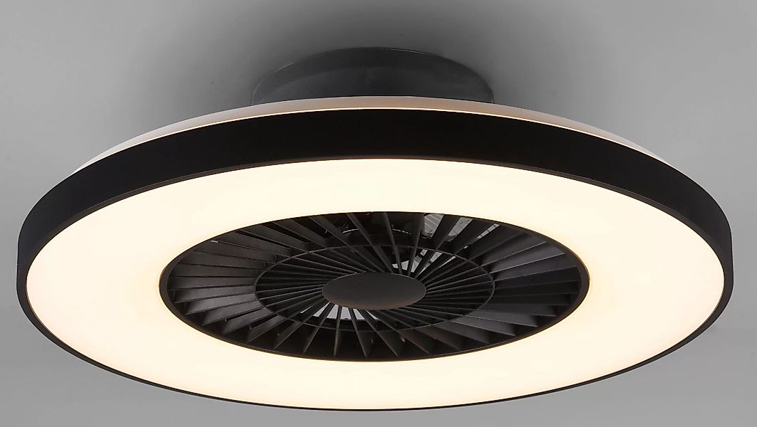 TRIO Leuchten LED Deckenleuchte »Halmstad«, mit Ventilator, Fernbedienung, günstig online kaufen