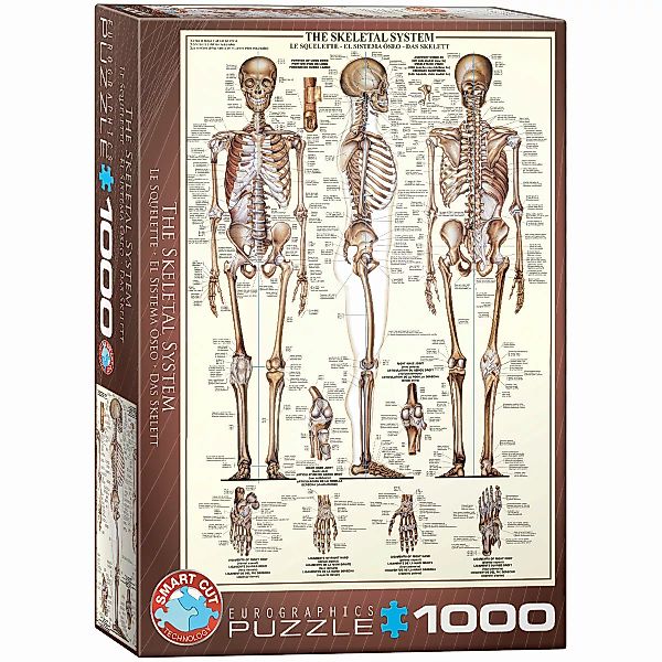 Das Skelett 1000 Teile Puzzle günstig online kaufen